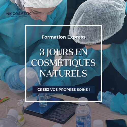 Maîtrisez l'Art de la Fabrication de Cosmétiques: De la Formulation à la Création – Image 2